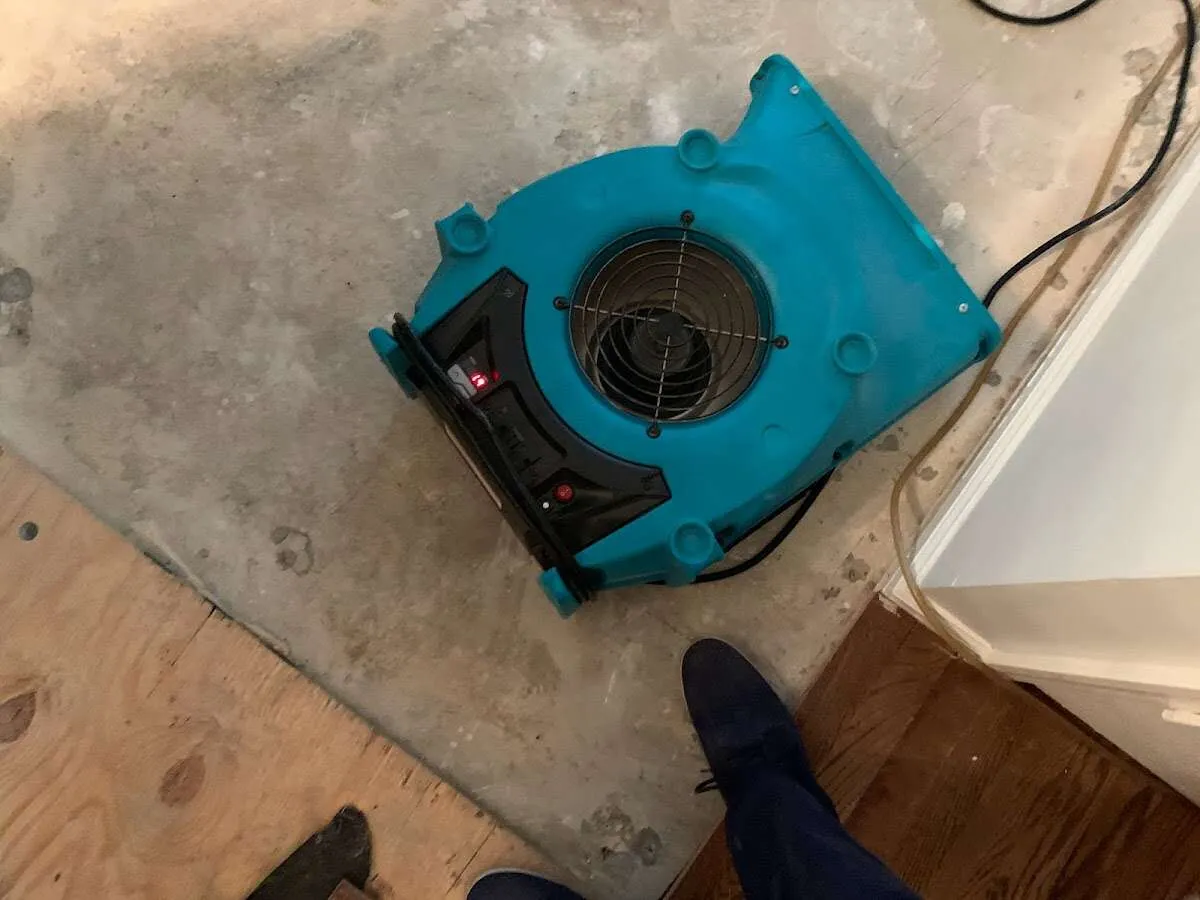 Air mover drying subfloor during Commercial Water Damage Restoration in Georgetown